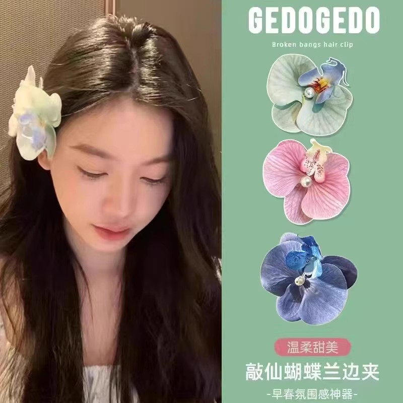 仿真蝴蝶兰发夹高级感花朵发卡女头花新款新娘盘发头饰品兰花氛围