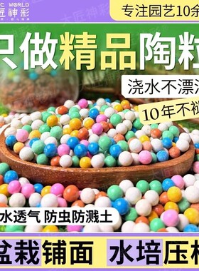 彩色陶粒养花专用水培透气多肉颗粒彩石吸水植物盆栽陶瓷园艺彩陶