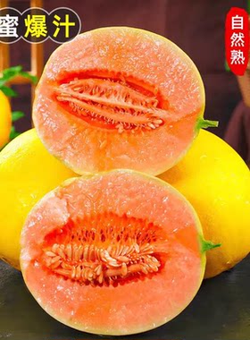 甘肃民勤黄河蜜瓜4-5斤甜瓜水果新鲜当季整箱沙漠黄金哈密瓜