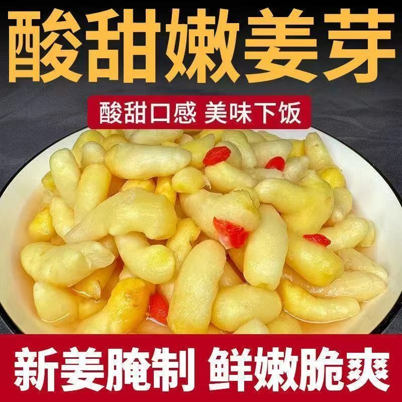 新鲜枸杞泡嫩姜芽仔姜糖醋嫩姜芽生姜腌制即食下饭菜柒非养蜂饲料