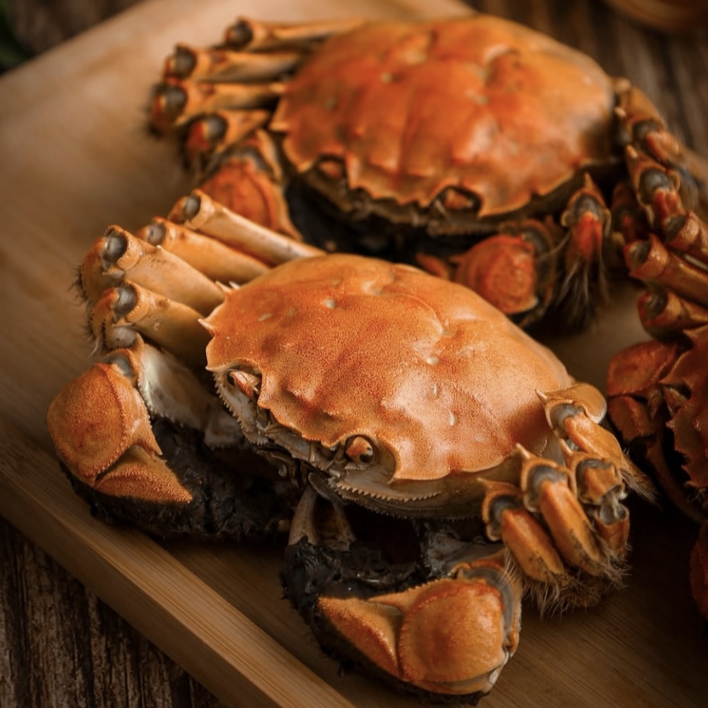 出口级标准清水大闸蟹 满黄全母精挑鲜活大闸蟹