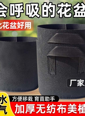 美植袋加厚黑色加固提手植物种植袋无纺布植树袋种树专用盆