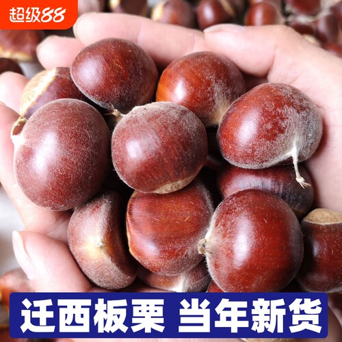 宇辉同款迁西生鲜板栗生吃脆甜