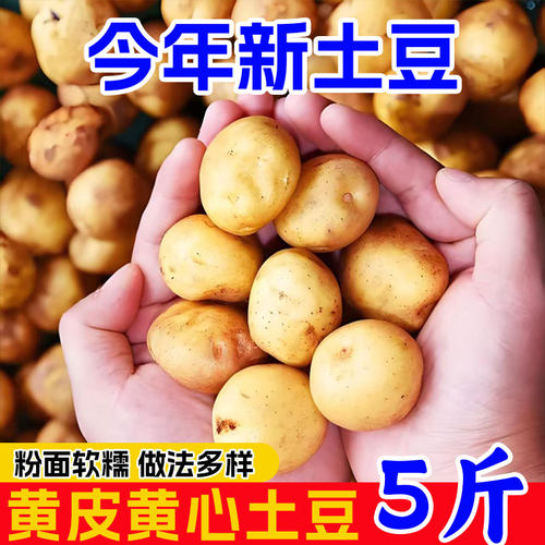 恩施小土豆现挖高山新鲜
