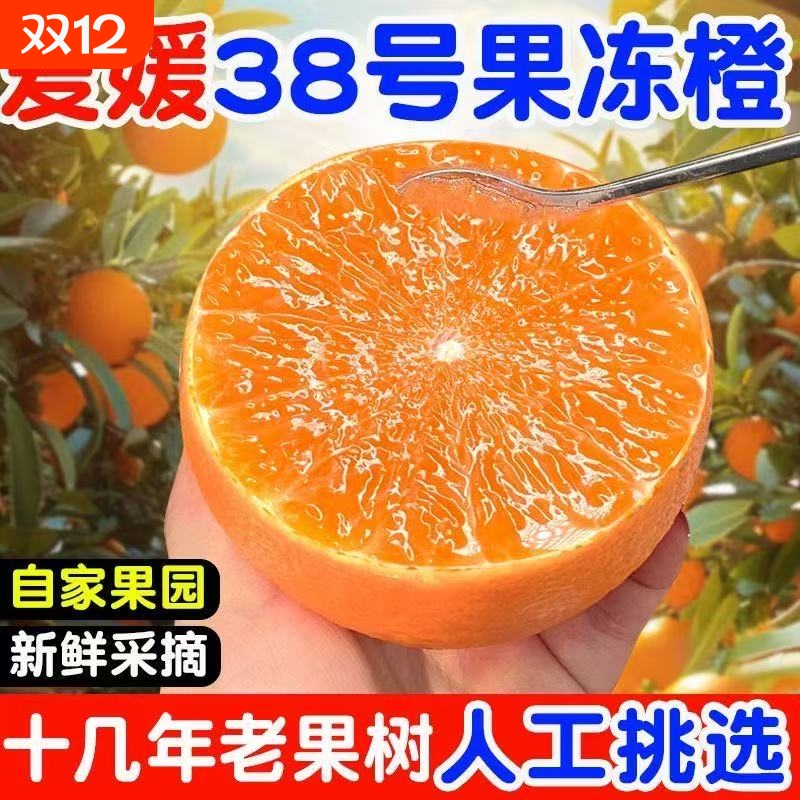 四川爱媛38号果冻橙5斤新鲜水果当季整箱甜橙子手剥爱媛橙9斤果园
