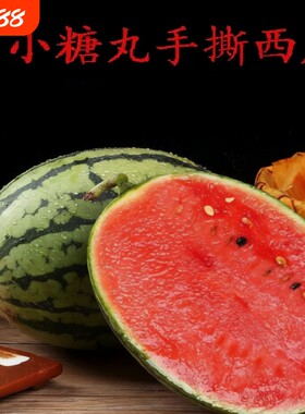 2k小糖丸西瓜迷你手撕小西瓜水果新鲜应当季时令孕妇整箱