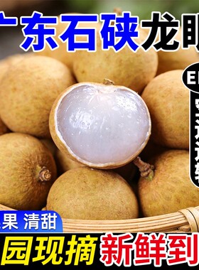 正宗高州石硖龙眼桂圆肉大核小应季水果当季新鲜大果【空运速发】