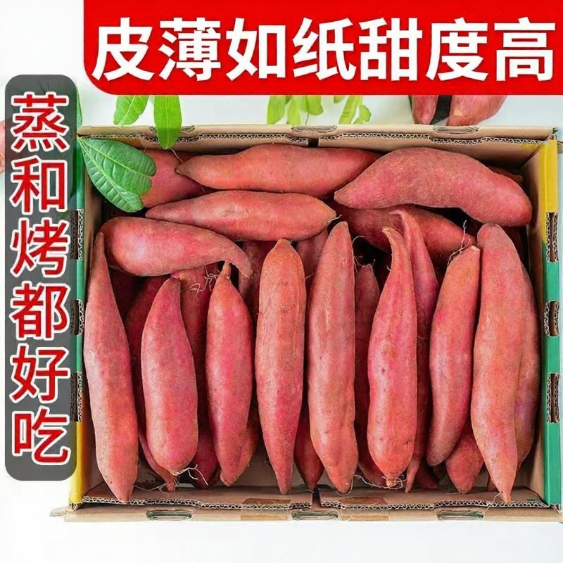 现挖新鲜沙地农家自种西瓜红蜜薯红心地瓜番薯板栗红薯粉糯甜山芋