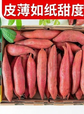 现挖新鲜沙地农家自种西瓜红蜜薯红心地瓜番薯板栗红薯粉糯甜山芋