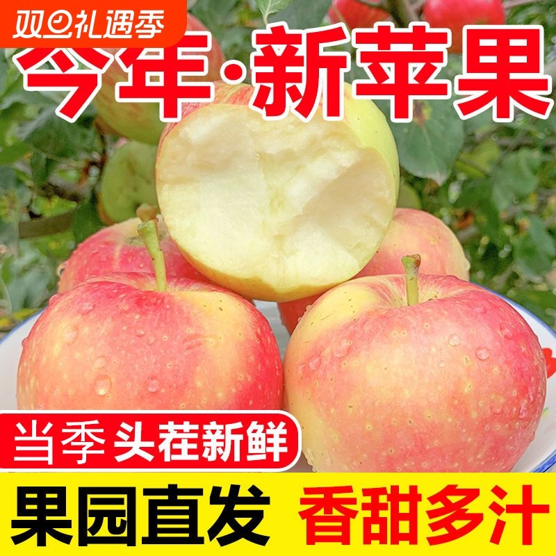 今日特价新鲜红富士苹果冰糖心脆甜多汁应季水果包邮丑苹果当季