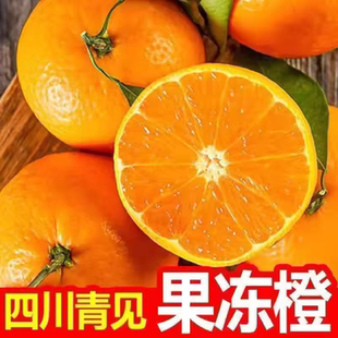 四川正宗晚熟青见果冻橙新鲜水果薄皮汁多现货甜橙子产地直发