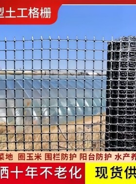 鸭子防逃笼蔬菜果园塑料网