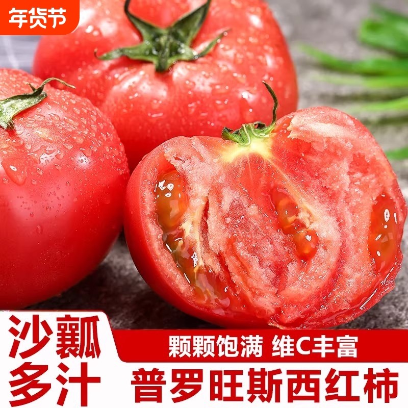 正宗普罗旺斯沙瓤甜西红柿新鲜现摘可生吃水果番茄自然熟蔬菜水果,水产肉类/新鲜蔬果/熟食,番茄,淘宝优惠券,粉丝福利购,淘宝优惠卷