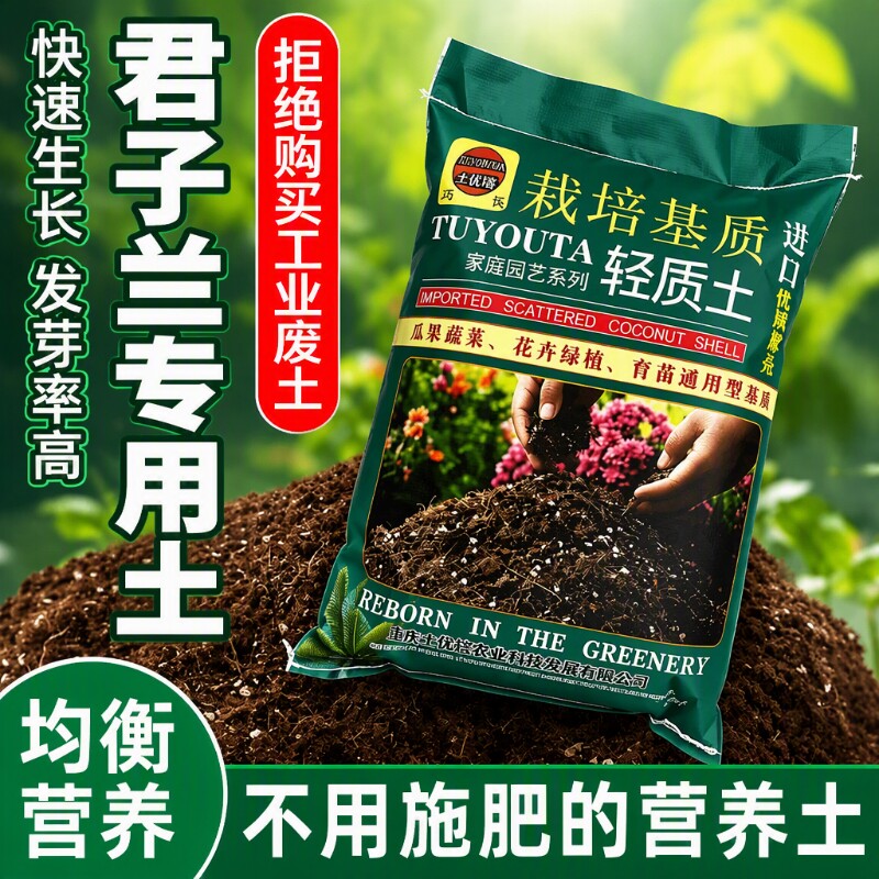 君子兰营养土兰花专用土蝴蝶兰养花通用种植土发财树绿萝红掌植物图片