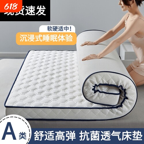 四季款床垫家用软垫榻榻米垫子