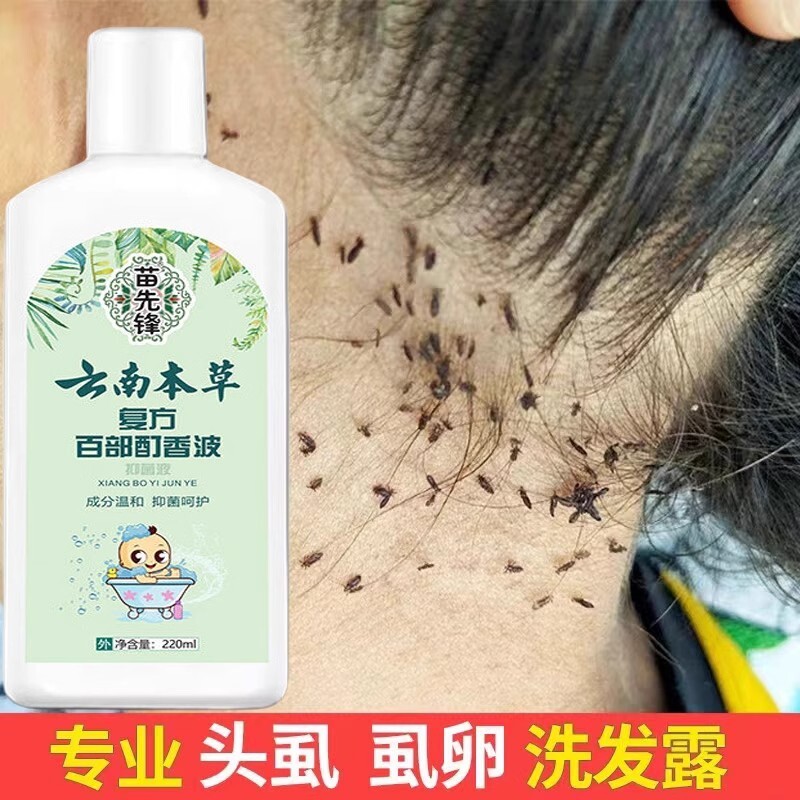 头虱复方百部酊香波儿童云南本草洗发水女孩头发虱子药虱卵一扫光