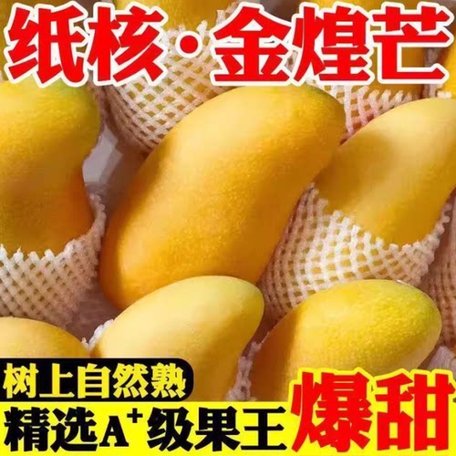 金煌芒爆甜新鲜水果树上熟正宗金煌芒抗寒无公害香甜多汁纸核