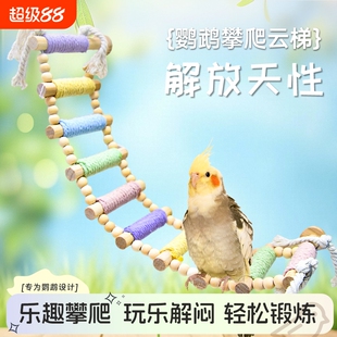 鹦鹉彩虹爬梯秋千玩具虎皮云梯吊环吊桥站台鸟用具用品攀爬解闷