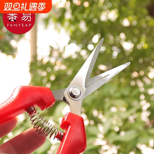 采果剪A1vn800-修枝剪园艺剪水果蔬菜剪刀桔子采摘剪刀摘果剪刀