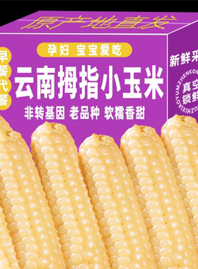 云南西双版纳非转基因新鲜香糯小拇指玉米孕妇蔬菜儿童早餐烧烤
