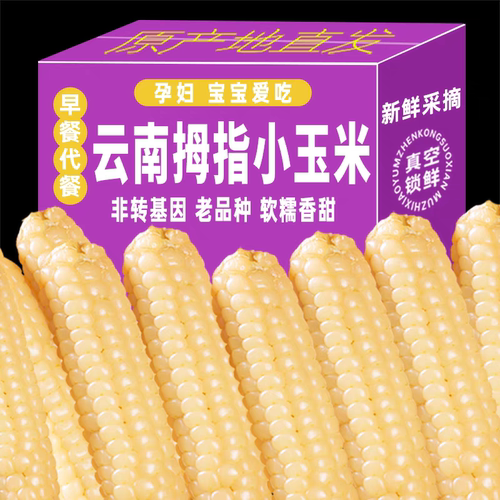 云南西双版纳非转基因新鲜香糯小拇指玉米孕妇蔬菜儿童早餐老品种