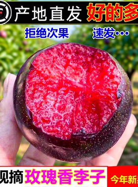 李子新鲜水果黑布林正宗红心李子