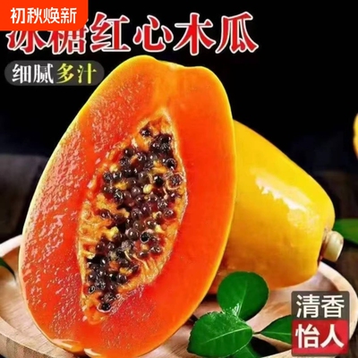 新鲜现摘现发红心木瓜