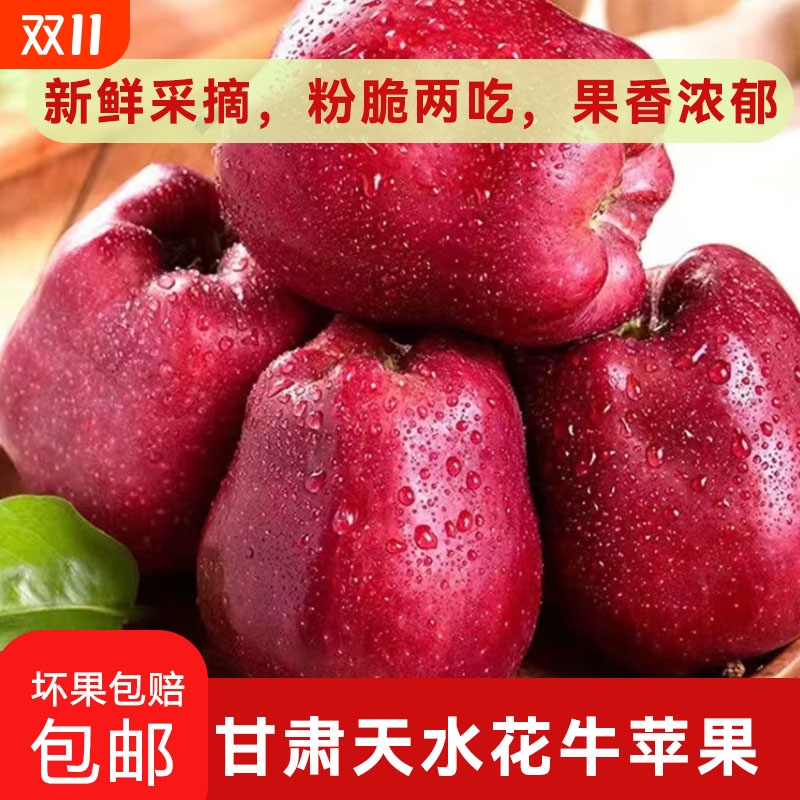 甘肃天水花牛苹果 新鲜水果红蛇果脆粉好吃 宝宝辅食粉面刮泥苹果