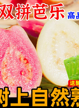 红心白心芭乐新鲜水果现货红番石榴软糯红白双拼礼盒脆甜芭乐
