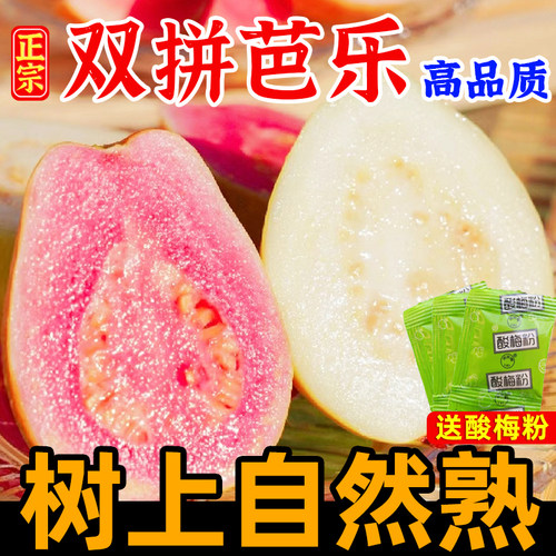 红心白心芭乐新鲜水果现货红番石榴软糯红白双拼礼盒脆甜芭乐