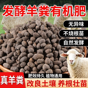 羊粪发酵有机肥内蒙古月季 花专用土蔬菜纯蛋颗粒肥有机肥料羊粪蛋