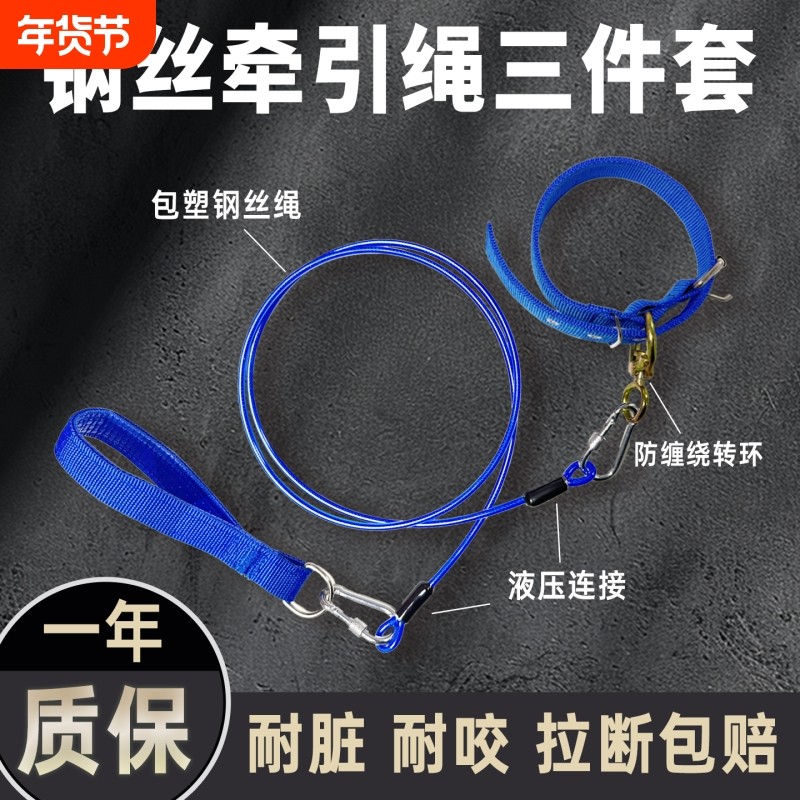 狗狗牵引绳狗绳狗链项圈登山扣大型犬中小型犬防缠绕遛狗绳牵狗绳,宠物/宠物食品及用品,狗牵引绳,淘宝优惠券,粉丝福利购,淘宝优惠卷