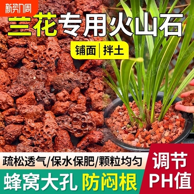 兰花专用火山石养花盆栽铺面鱼缸造景底部砂颗粒石头蝴蝶兰多肉