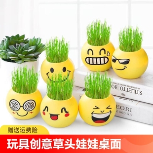 玩具场 创意草头娃娃桌面迷你植物小盆栽幼儿园DIY种植盆栽卡