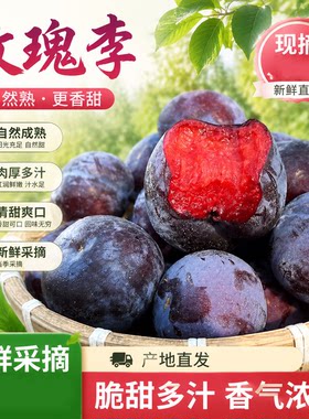 正宗红心李子新鲜水果黑布林
