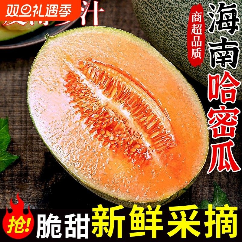 海南直发网纹哈密瓜冰淇淋口感新鲜当季采摘新鲜水果香甜多汁,水产肉类/新鲜蔬果/熟食,哈密瓜,淘宝优惠券,粉丝福利购,淘宝优惠卷