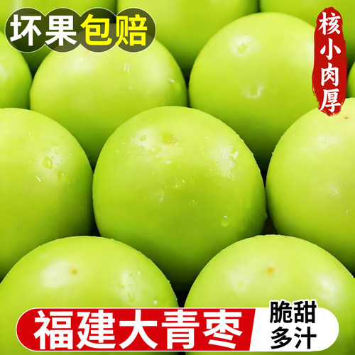 福建大青枣5斤大果新鲜冬枣贵妃牛奶枣鲜枣水果脆枣子非苹果东枣