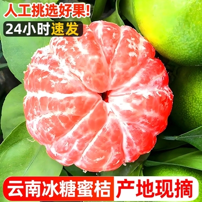 云南蜜橘新鲜水果9斤青皮蜜桔应季桔子无籽橘子孕妇整箱包邮现摘