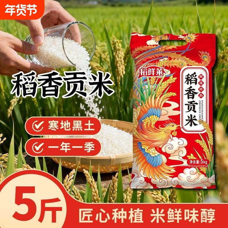 东北大米珍珠米5kg10斤装当季新米20斤产地直发稻香米50斤非