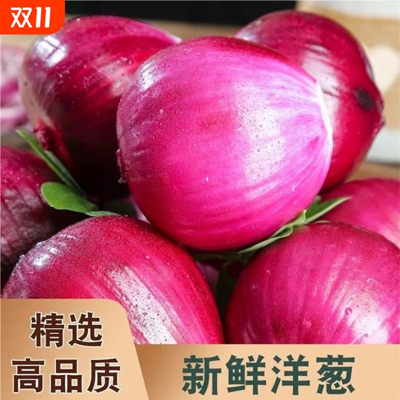 新鲜紫皮洋葱圆葱葱头应季蔬菜农家甜可生吃红葱头