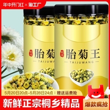 菊花茶胎菊王四季花草茶胎菊花花精选桐乡菊花茶