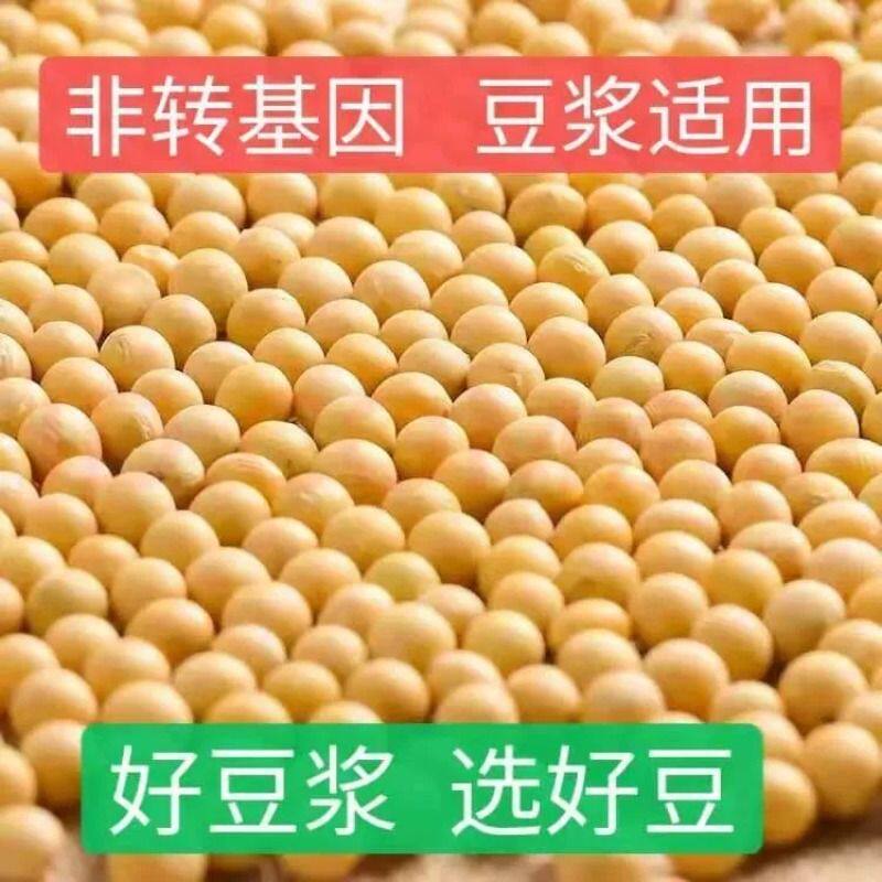 三彩侬黄豆东北农家自种颗粒打豆浆磨豆腐豆2/5/10/50斤老品种