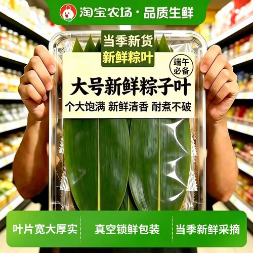 新鲜粽子叶端午节新叶