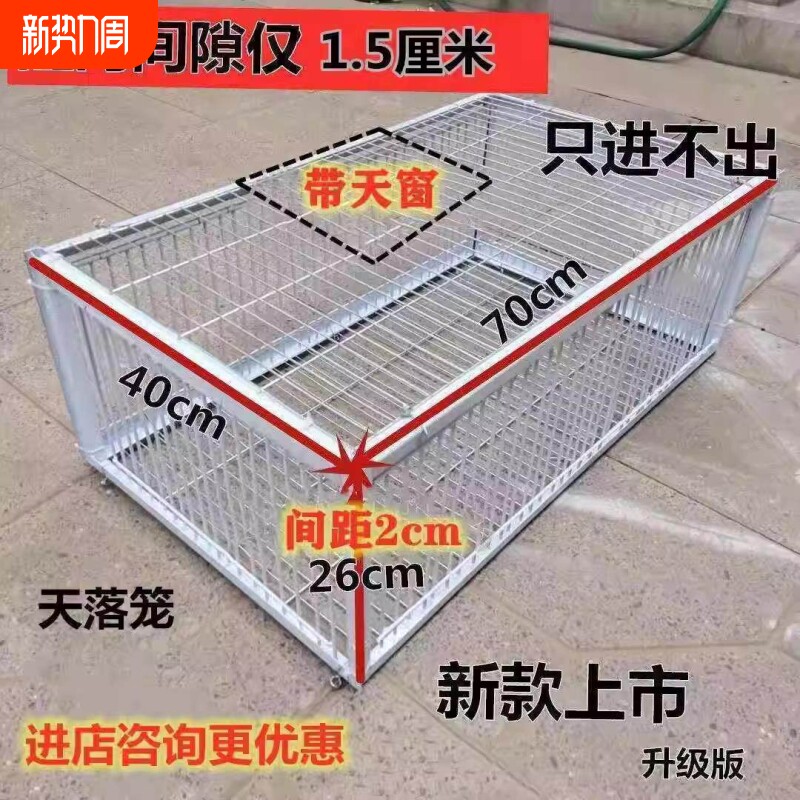 只进不出鸟笼全自动天落笼子撞户外抓鸽收子捕加密门可连续用