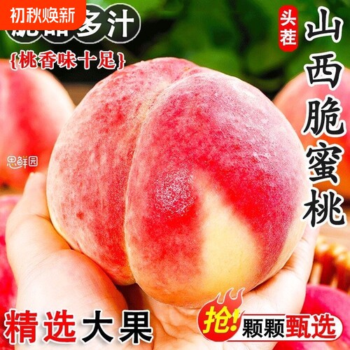 【脆甜】正宗脆蜜桃大果脆桃硬桃水蜜桃子新鲜脆桃水果当季鲜果