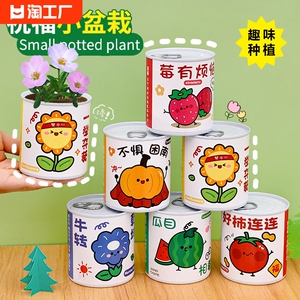 儿童励志种植小盆栽 小学生种植盲盒礼品创意手工DIY植物罐头盆栽