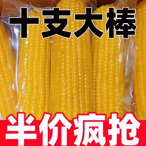 东北黄糯玉米香糯玉米早餐真空包装糯玉米棒甜玉米10支装真空装