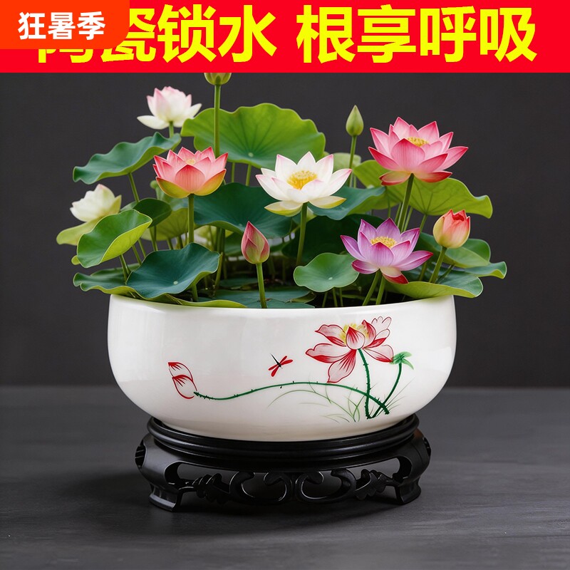 水仙花陶瓷无孔水培花盆特价大号铜钱草睡莲专用水培盆莲花带托盘