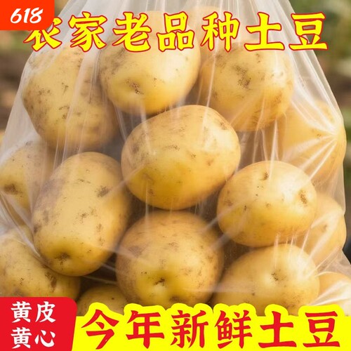当季新土豆新鲜黄心粉面