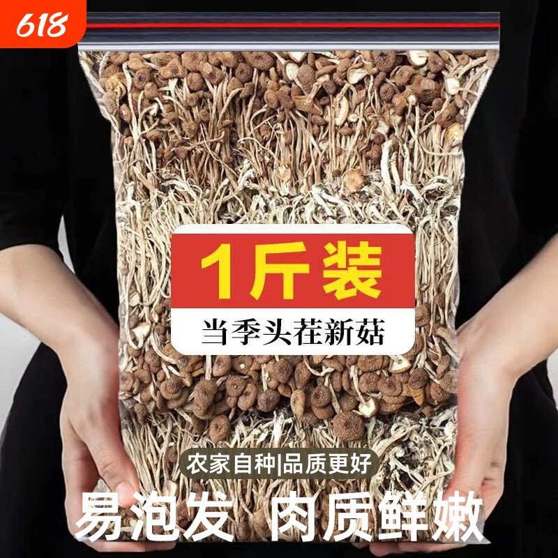 【首单直降】农家茶树菇古田新货500g干货特级茶薪菇无硫香菇蘑菇
